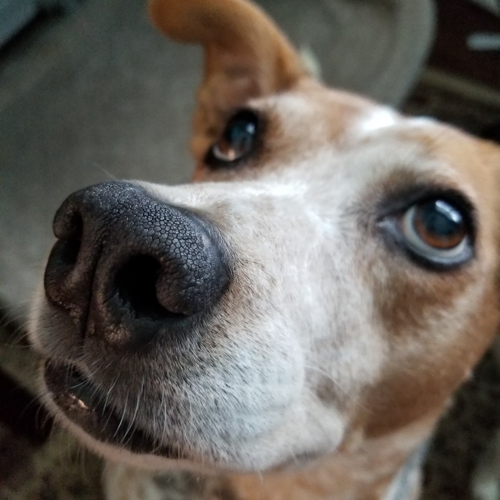 Meet your Posher, Tammi